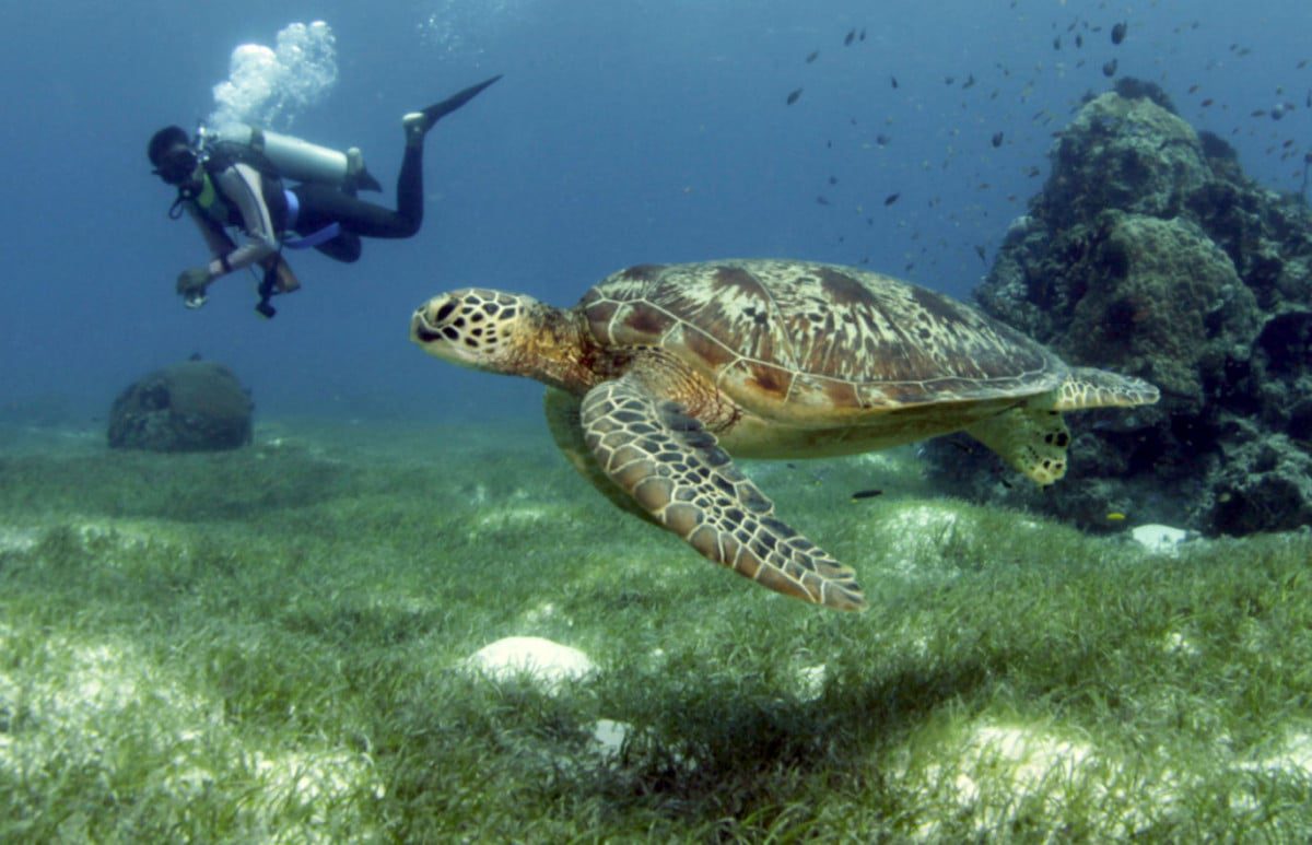 Philippines: Where to scuba dive