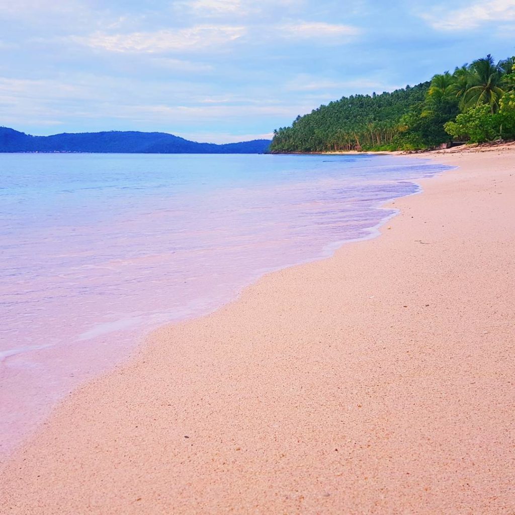 Philippine Tourist Attractions- Pink Beach  Places to go, Places to visit,  Pink sand beach bermuda